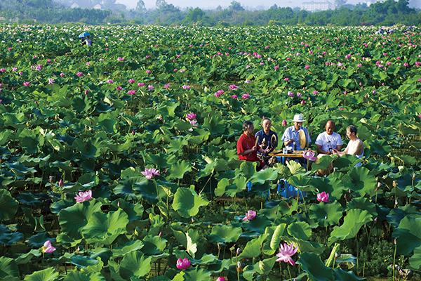 大足观荷花.jpg