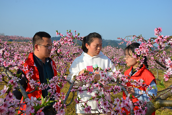 （精品路线1）桃李基地青年技术干部讲授脆桃种植技术.JPG