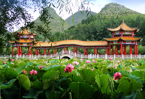 招堤长堤.jpg