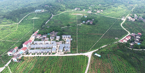 2产村相融基地.jpg
