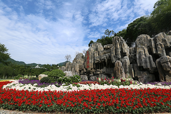 6花溪谷石景花丛.JPG