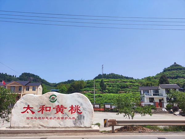 太和黄桃-地理标志石刻.jpg