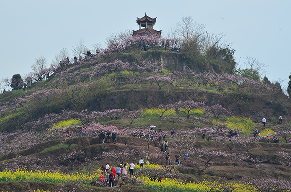 桃花山-桃花节.JPG