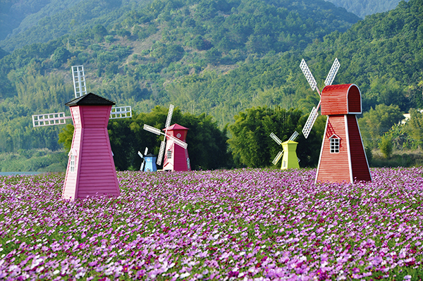 图片3：花塘田园.jpg