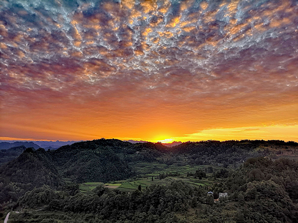 5夕阳晚归.jpg