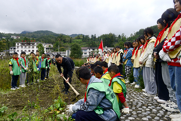 学生在龙马体验农事活动.JPG
