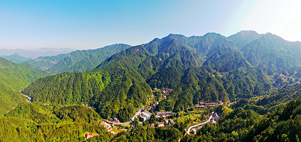 1.鸟瞰桃花冲.jpg