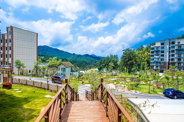 3.桃花溪避暑度假小镇.jpg