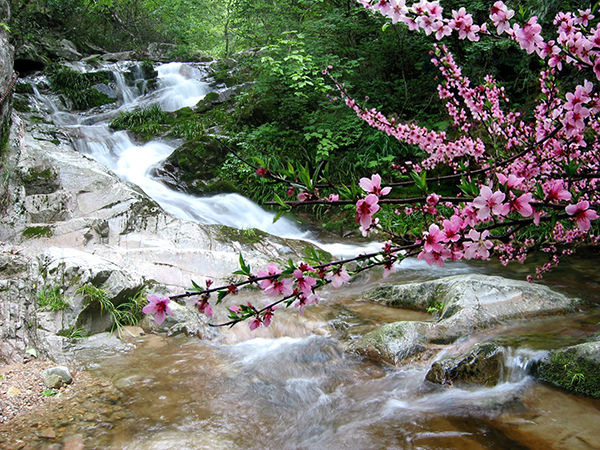 6.十里桃花溪.jpg