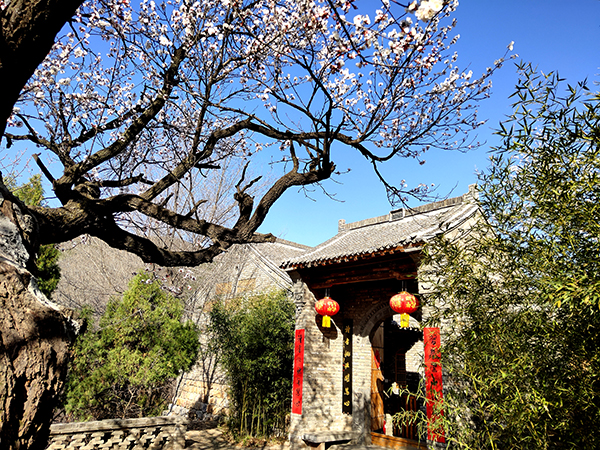 禅心居崇山书院.jpg