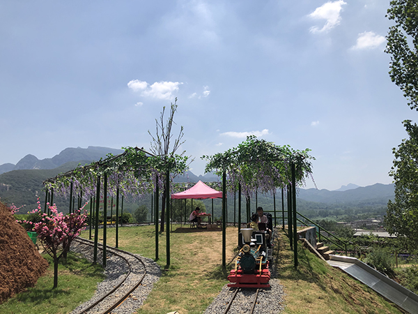 景区小火车.jpg