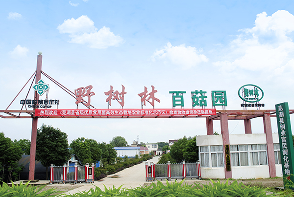 野树林百菇园正门.jpg