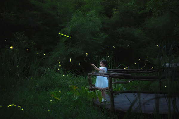 萤火虫基地-特写.jpg