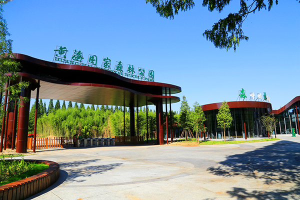 东台市黄海森林公园——公园南门.jpg