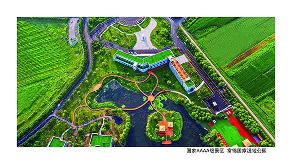 湿地鸟瞰  王长德.jpg