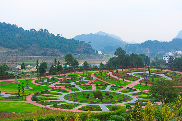 图片6：红懂组梦想花园.png