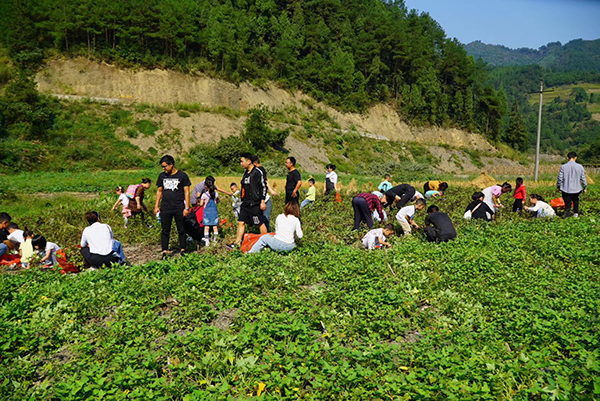 图片9：乡村旅游—坝黄太坪村亲农耕研学基地3.jpg