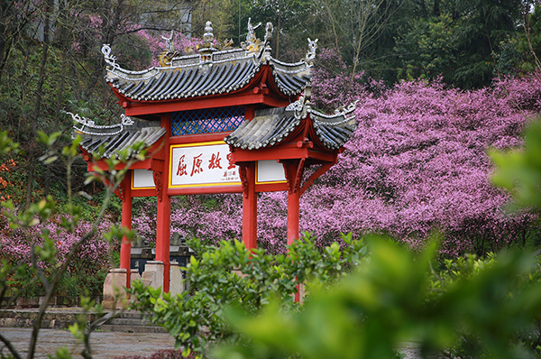 屈原故里文化旅游区 王罡摄.JPG