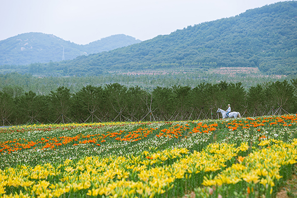 精品线路1精品点1：山东省日照市白鹭湾美术馆小镇，三面环山，一面临水，区内自然环境优美，是山东省首批特色小镇。.jpg
