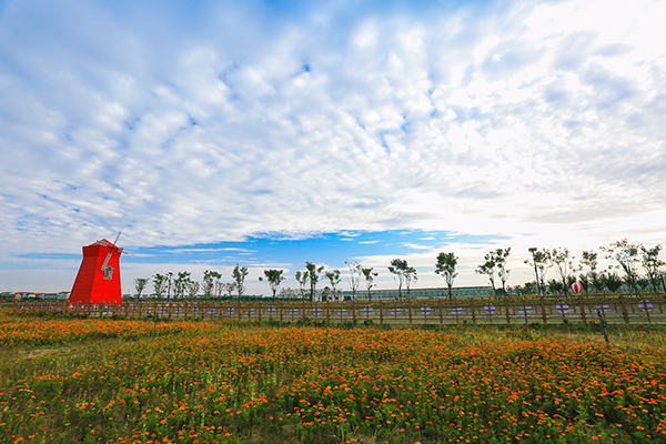 4.陌上花海.jpg