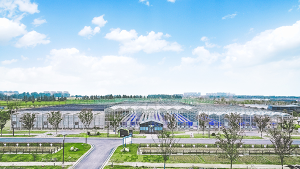 6.陌上园鱼菜共生植物工厂.jpg