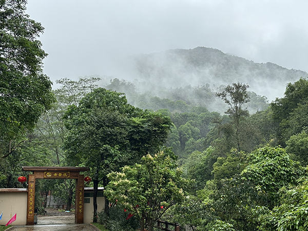 煮茶坑大门.jpg