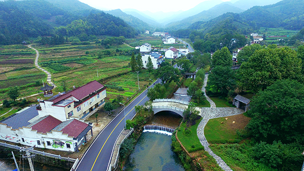 三冲村-绿树掩映中的马槽河河游步道.jpg