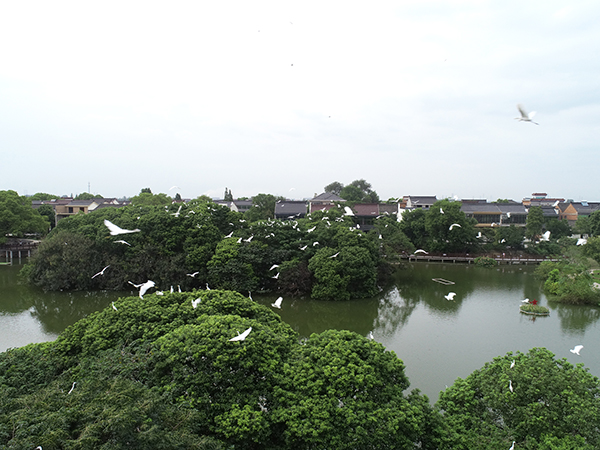 精品点1：万鸟园水岛.JPG