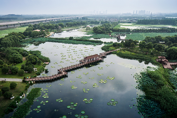 荷塘月色湿地公园俯瞰.JPG